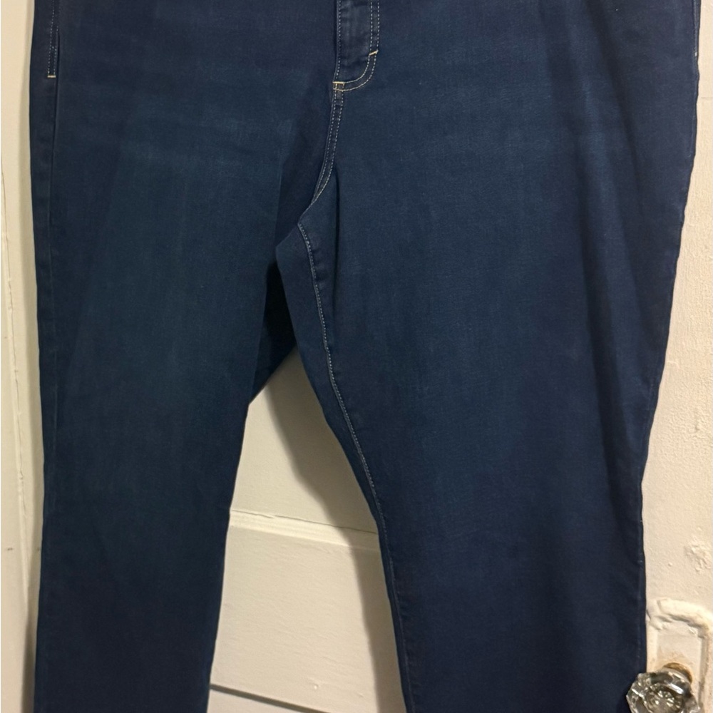 Style & Co Plus Size Womens Mid rise Slimming Leg Denim Jeans Plus Sz 24W, Zach